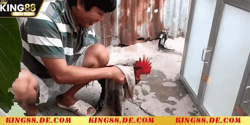 nhung luu y quan trong khi om bop ga choi
